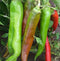 Big Jim Pepper